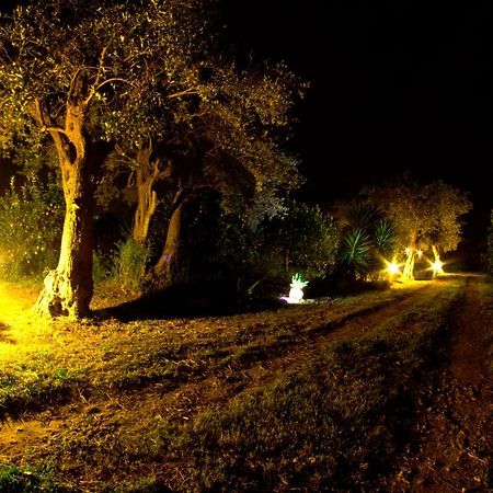 Casa Maccari Alle Riserve Vendicari المظهر الخارجي الصورة